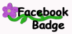 Facebook Badge
