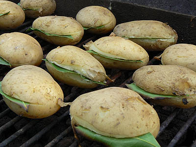 pommes de terre.jpg