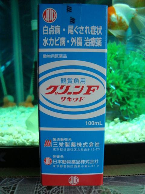 金魚飼育の真髄 金魚飼育完全マニュアル 金魚 伝心伝承 白点病 及び コショウ病 その他 痒がる症状 原因 症状 治療方法 注意点