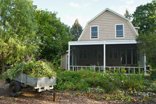 DSC09565