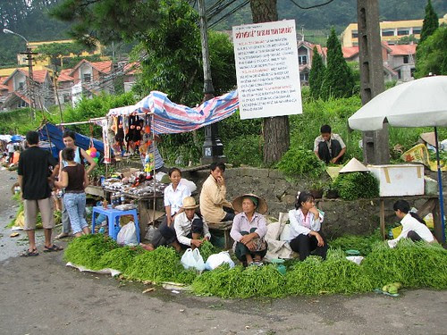 Su Su sellers- Tam Dao