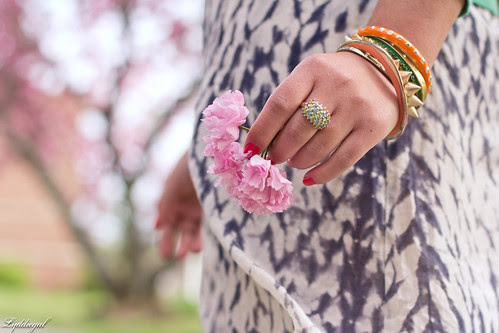 cherry blossoms-8.jpg