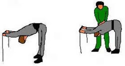 obat peninggi badan yang terbaik