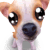 041.gif