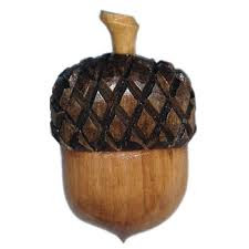 This ACORN Isn't