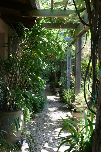 plant lovers paradise
