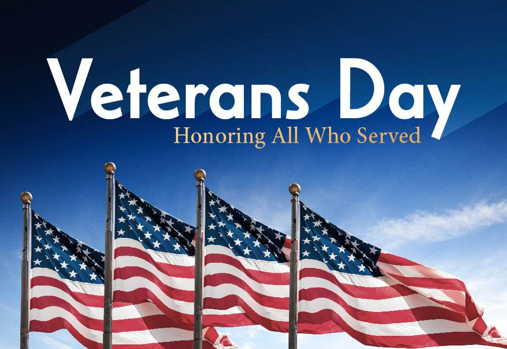 Download Veterans Day Cross Stitch Pattern Man Of Honor Veterans Day Gift For Grandpa Memorial Day Gift For Veterans Day Decoration Wall Art Red Blue Crewel Sewing Needlecraft
