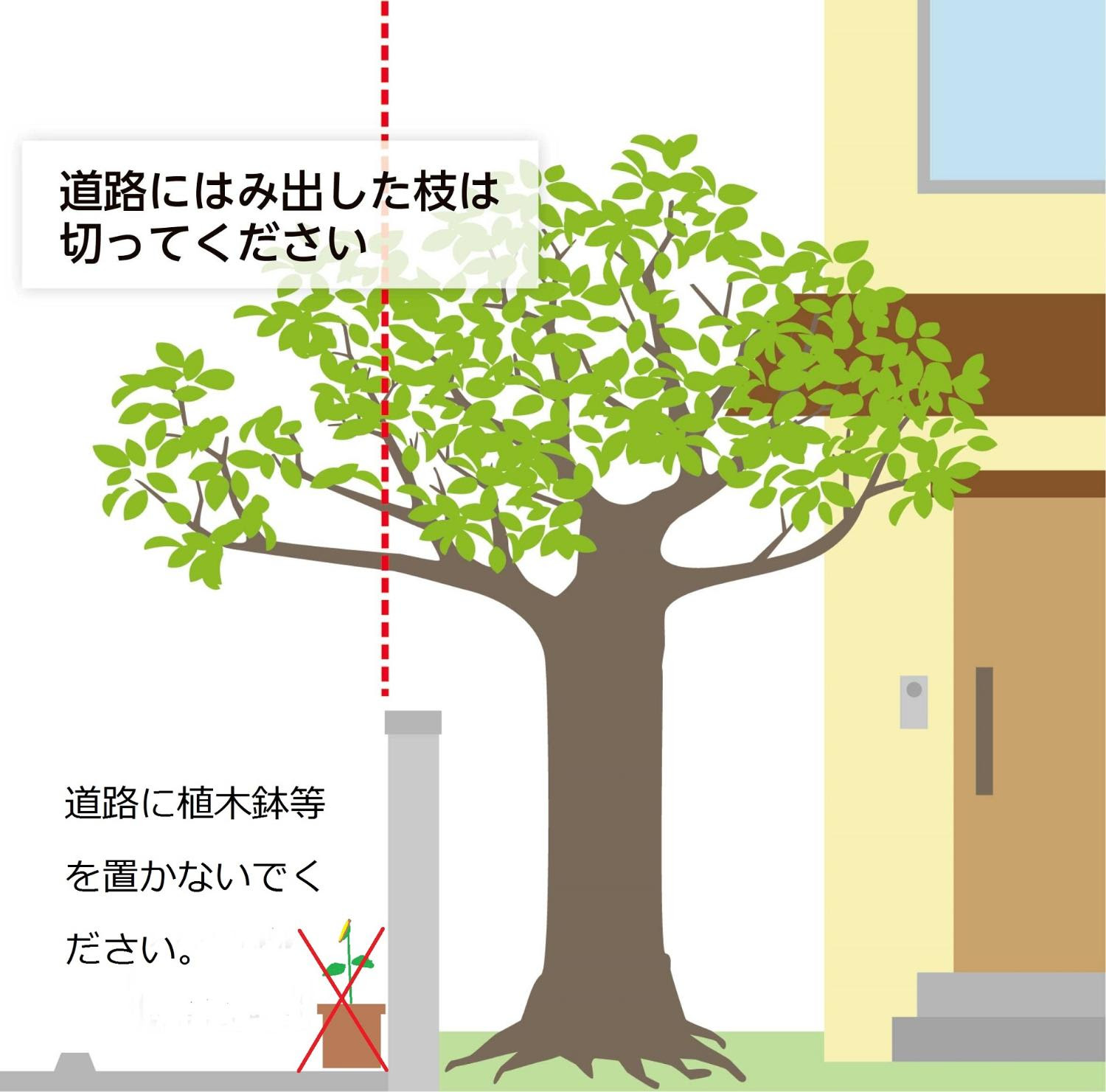 道路上に張り出している樹木等の管理のお願い 大津市