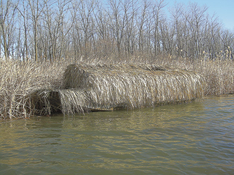 Duck Blind Doors