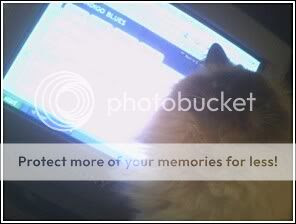 Image hosted by Photobucket.com