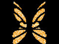 00e3005a