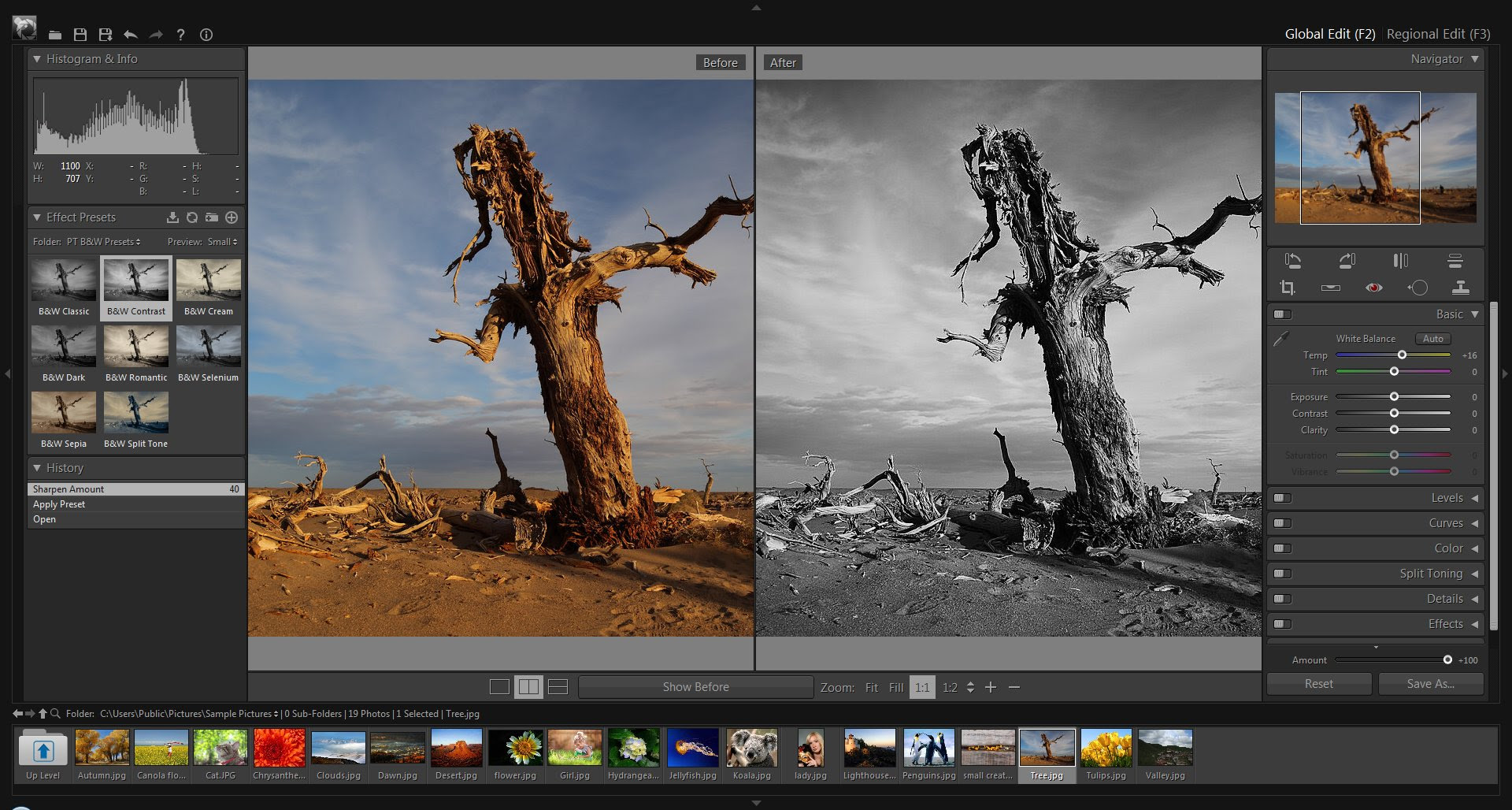 PT PHOTO EDITOR FREE EDITION Powerful easy and 100 PT PHOTO EDITOR FREE EDITION Powerful easy and 100