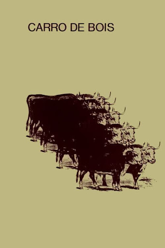 Kép