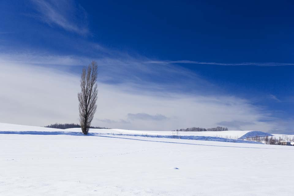 ゆんフリー写真素材集 No 3251 雪原 日本 北海道