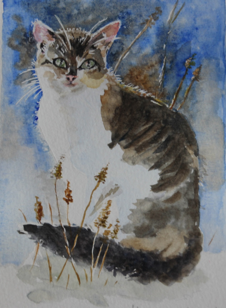 Chat Aquarelle Bluesy