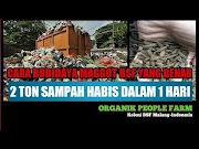 Ketahui Cara Menghabiskan Ton Sampah Dengan Budidaya Maggot Bsf Alternatif Pakan Berprotein Tinggi, Paling Dicari!