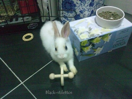 pebbles