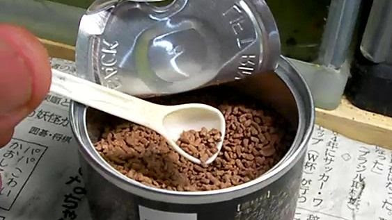 雑記 鴨 ついに アベニーパファーが人口飼料を食べてくれた Krill Granule Puffer クリル グラニュールパッファー