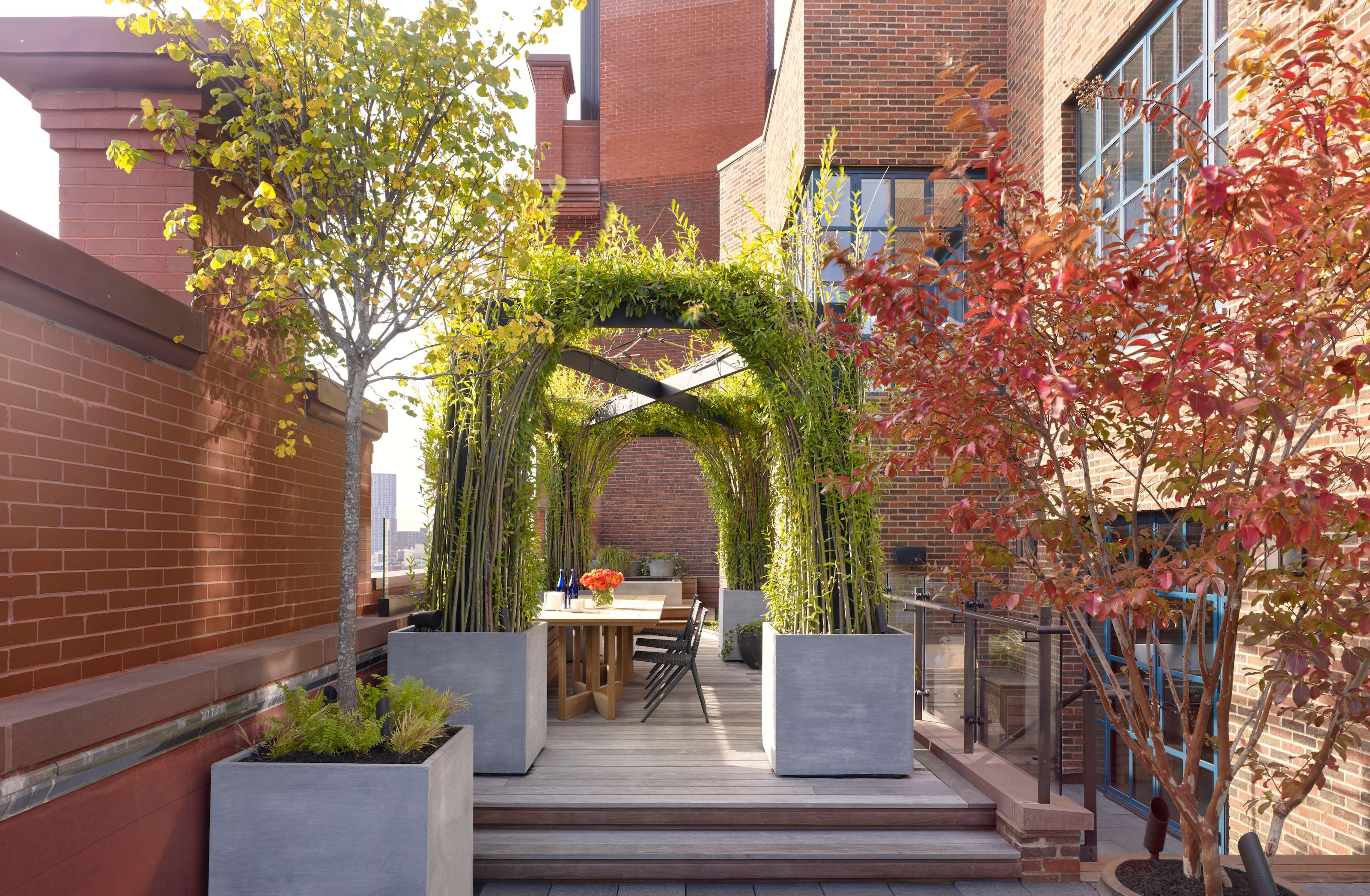 Potted Plant Ideas to Elevate Your Outdoor Space Photos ...