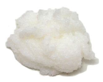 http://gloomyvegan.files.wordpress.com/2008/04/lard2.jpg