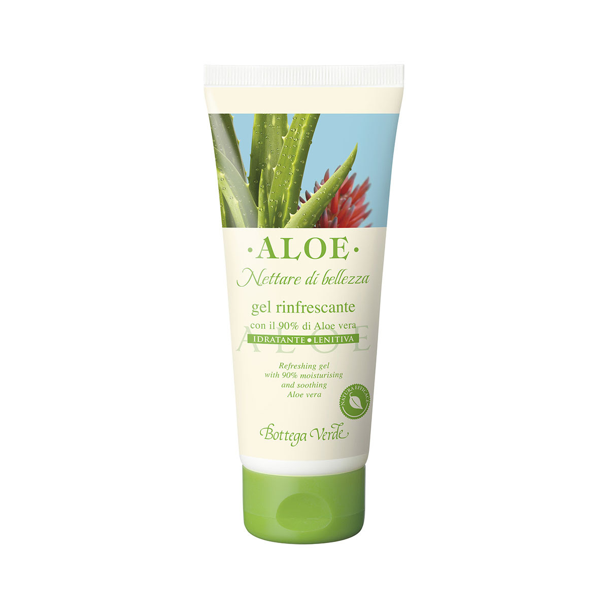 bottega verde gel aloe