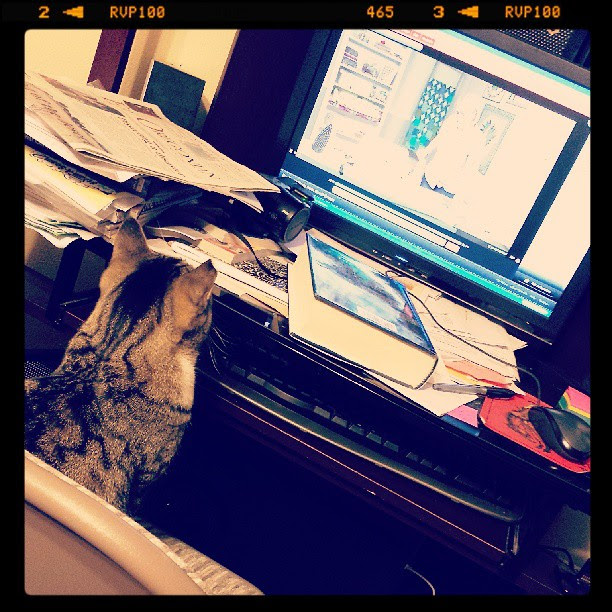 Even the cat is getting into the @becraftsy  class from @sfielke  <3. Yes it's the curved lesson.