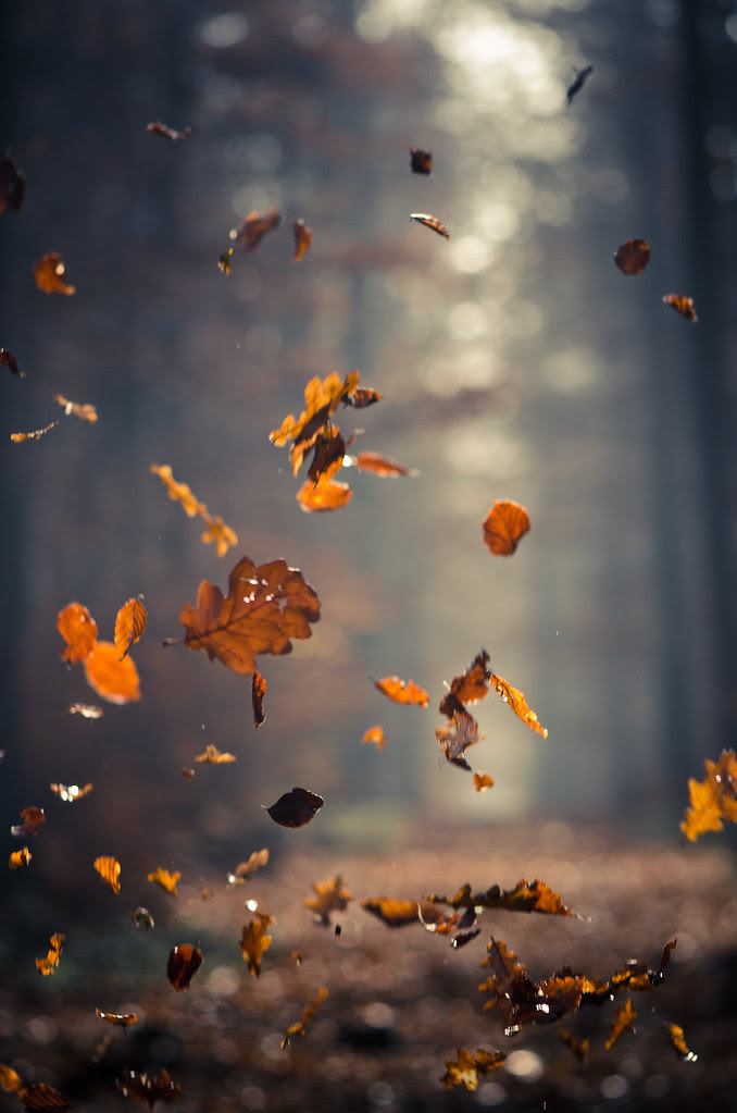 Throwing leaves