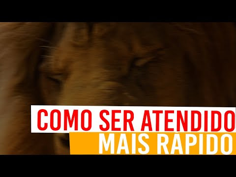 VIDEO : 10 passos para ser atendido mais rápido na receita federal - você não precisa ir até avocê não precisa ir até areceita federale ficar em filas. aprenda aqui em 10 passos como evitar isso.você não precisa ir até avocê não precisa i ...