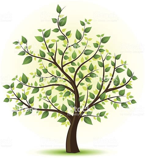 green tree illustration stock vector art istock