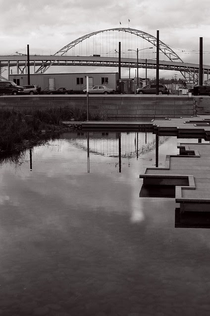 tanner springs