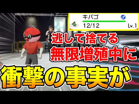 コレクション ポケモン パール マスターボール 増殖 シモネタ