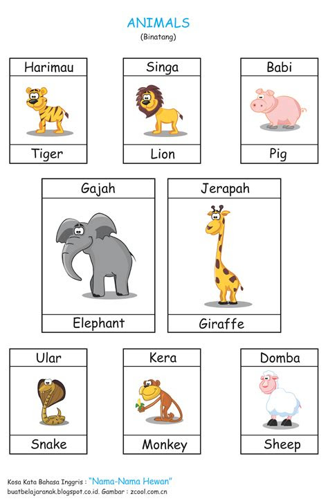 kosa kata nama nama hewan  bahasa inggris buat belajar anak