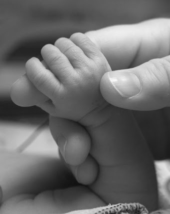 Holding Hands Photos. Holding hands ….A Tag :)