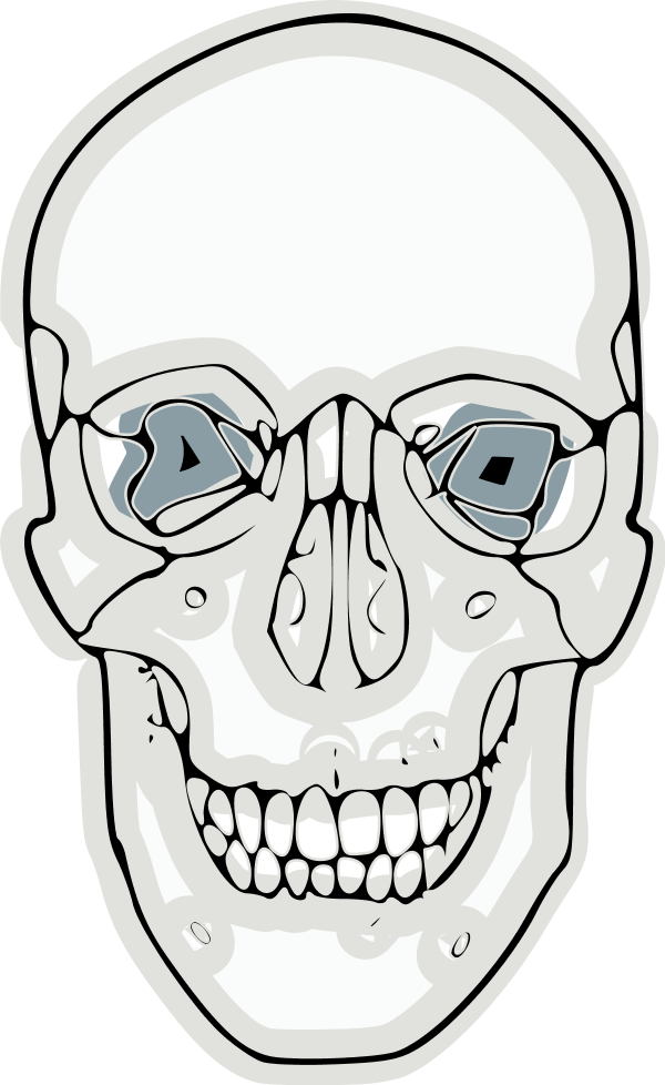 Download Free Skull Pics Download, Download Free Clip Art, Free ...