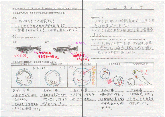 基礎理科講座 研究報告書