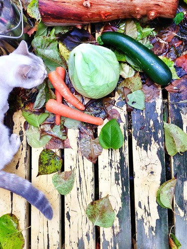 eating in season