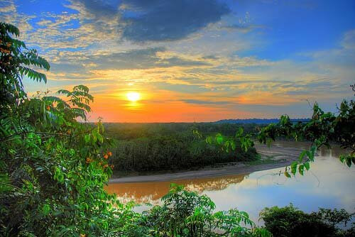 Amazon rainforest facts Sunset 10 Interesting Amazon Rainforest Facts