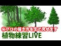 背景 木 描き方 144146-背景 木 描き方