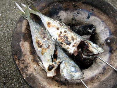 丸ごと アジの串炭火焼きレシピ 魚 タコ イカの七輪レシピ 七輪で作る エコなアウトドアレシピ