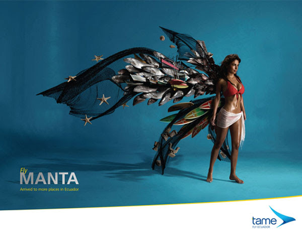 Fly Manta