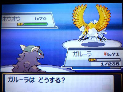 色ホウオウ Ss 色ポケめも