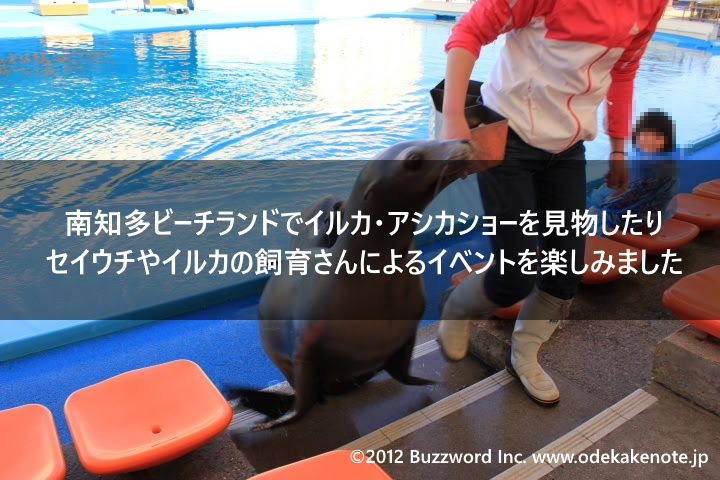 南知多ビーチランドでイルカ アシカショーを見物したりセイウチやイルカの飼育さんによるイベントを楽しみました 12年3月 おでかけノート