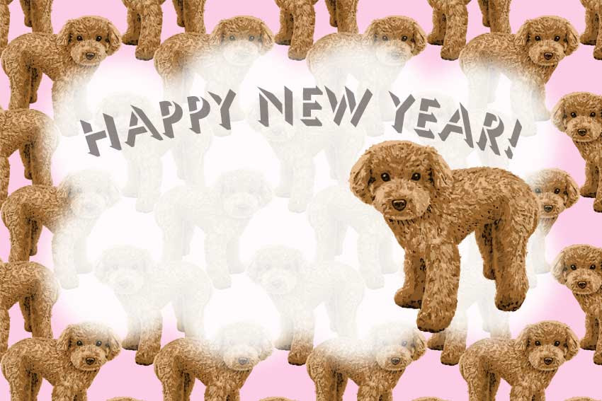 リアルなプードル リアルタッチトイプードルの年賀状用イラスト フリー素材集