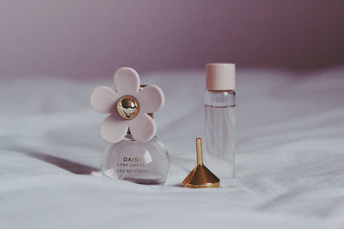 daisy