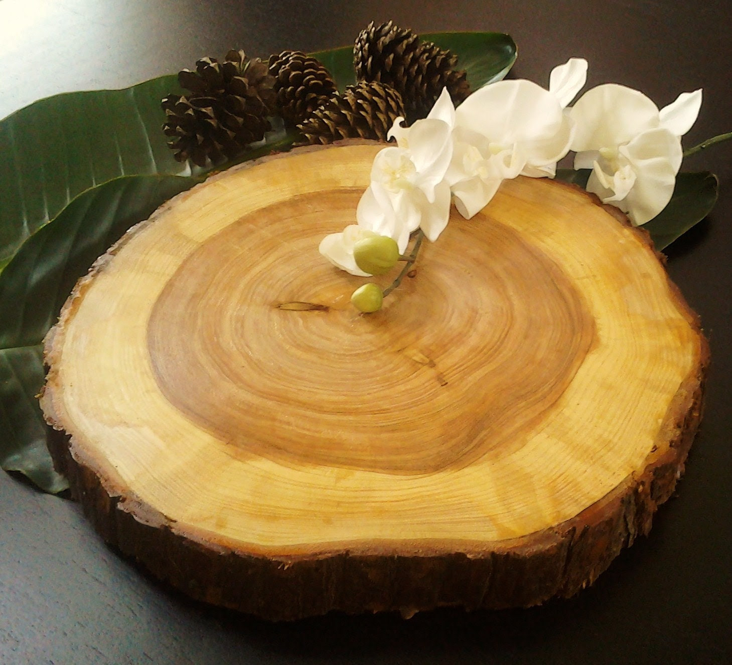 TREASURY ITEM 14 CYPRESS Wedding Tree Trunk by JTLCREATIONS