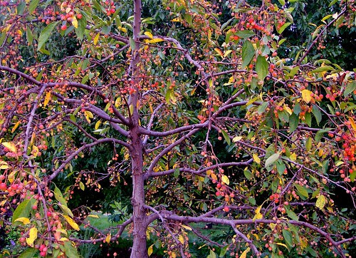DSC04060