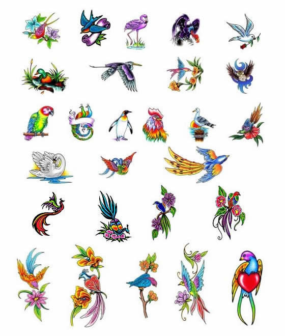 Tattoo Designs Bird