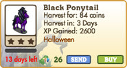 Black Ponytail Market Info