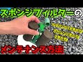 熱帯魚 フィルター 掃除 頻度 283160-熱帯魚 フィルター 掃除 頻度