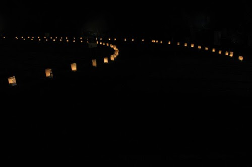 Luminaria